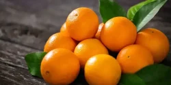 تعبیر خواب پرتقال + معنی پرتقال در خواب های ما چیست