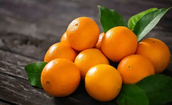 تعبیر خواب پرتقال + معنی پرتقال در خواب های ما چیست