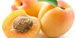 تعبیر خواب زردآلو + معنای زردآلو از دید ابن سیرین و امام صادق و منوچهر مطیعی
