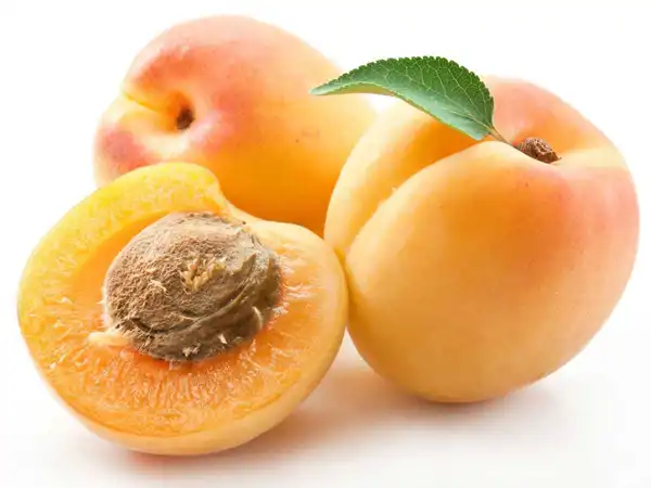 تعبیر خواب زردآلو + معنای زردآلو از دید ابن سیرین