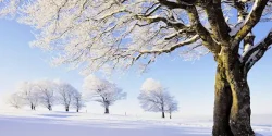 تعبیر خواب زمستان + از دید امام صادق و حضرت یوسف و ابن سیرین