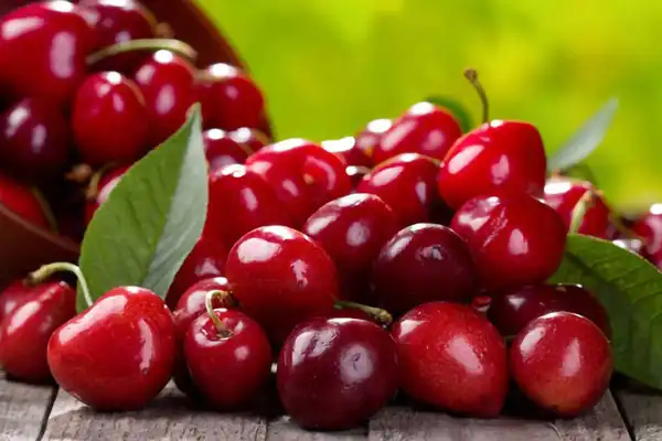 تعبیر خواب آلبالو + از دید امام صادق و حضرت یوسف و ابن سیرین