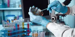 تعبیر خواب آزمایشگاه + از دید امام صادق و از دید حضرت یوسف و ابن سیرین