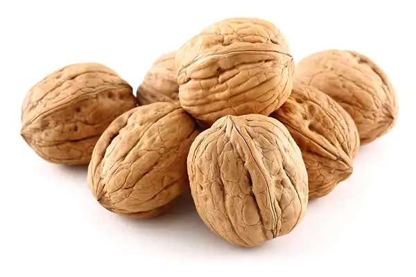 تعبیر خواب گردو + دیدن گردو در خواب نماد چیست
