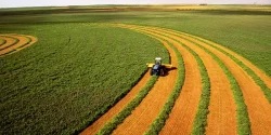 تعبیر خواب کشاورزی + معنای کشاورزی در خواب از دید ابن سیرین