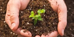 تعبیر خواب خاک + معنای خاک در خواب های ما چیست