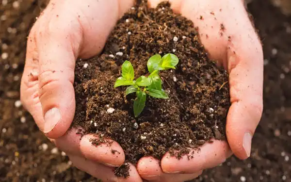 تعبیر خواب خاک + معنای خاک در خواب های ما چیست