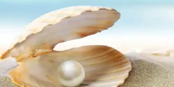 تعبیر خواب مروارید + دیدن مروارید در خواب نشانه چیست