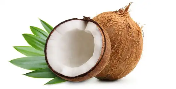 تعبیر خواب نارگیل + از دید امام صادق و حضرت یوسف و ابن سیرین