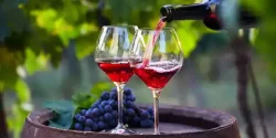 تعبیر خواب شراب از دید امام صادق و حضرت یوسف و ابن سیرین