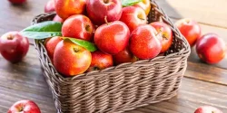 تعبیر خواب سیب + از دید امام صادق و حضرت یوسف و ابن سیرین
