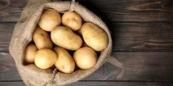 تعبیر خواب سیب زمینی + از دید امام صادق و حضرت یوسف و ابن سیرین