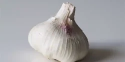تعبیر خواب سیر از دید امام صادق و حضرت یوسف و ابن سیرین
