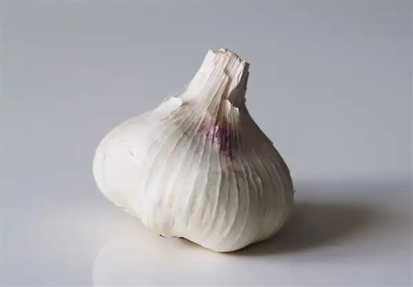 تعبیر خواب سیر + از دید امام صادق و حضرت یوسف و ابن سیرین