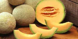تعبیر خواب طالبی + معنی طالبی در خواب از دید ابن سیرین