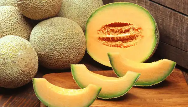 تعبیر خواب طالبی + معنی طالبی در خواب از دید ابن سیرین