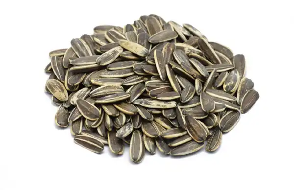 تعبیر خواب تخمه + دیدن تخمه در خواب نماد چیست