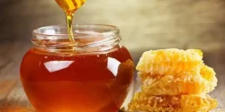 تعبیر خواب عسل حضرت یوسف + از دید امام صادق و ابن سیرین و حضرت یوسف