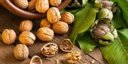 تعبیر خواب گردو از یوسف نبی + از دید امام صادق و ابن سیرین و حضرت یوسف