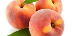 تعبیر خواب هلو حضرت یوسف + از دید امام صادق و ابن سیرین و حضرت یوسف