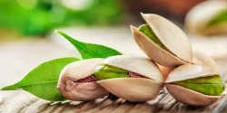 تعبیر خواب پسته از حضرت یوسف + از دید امام صادق و ابن سیرین و حضرت یوسف