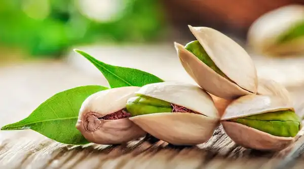 تعبیر خواب پسته از حضرت یوسف + از دید امام صادق و ابن سیرین و حضرت یوسف
